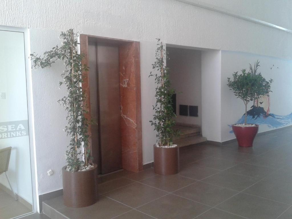 Palm Sea Beach Hotel Apartments Larnaca Exteriér fotografie